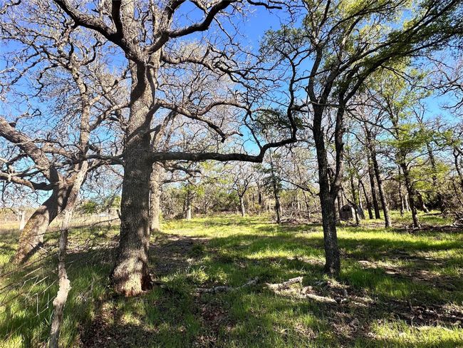 Lot 13 Cr 127, Home with 0 bedrooms, 0 bathrooms and null parking in Carlton TX | Image 21