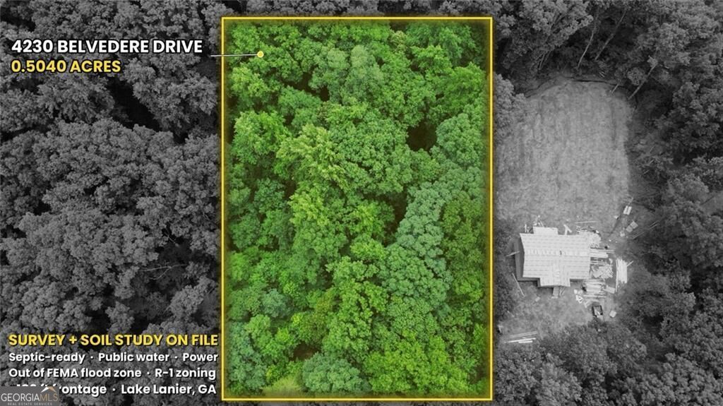 Land in Gainesville