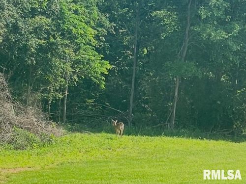 000 N America Rd, Galatia, IL, 62935 | Card Image