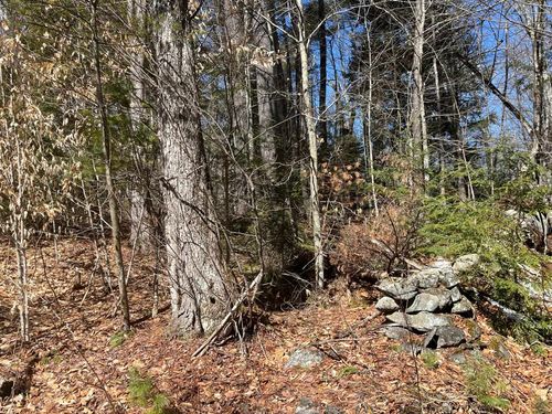 00 Pratt Bridge Road, Jamaica, VT, 05143 | Card Image