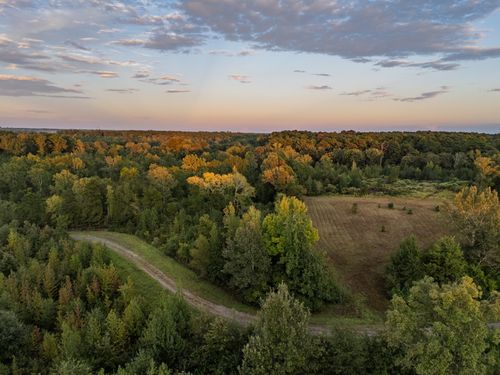 TBD Fm 1998, Karnack, TX, 75661 | Card Image