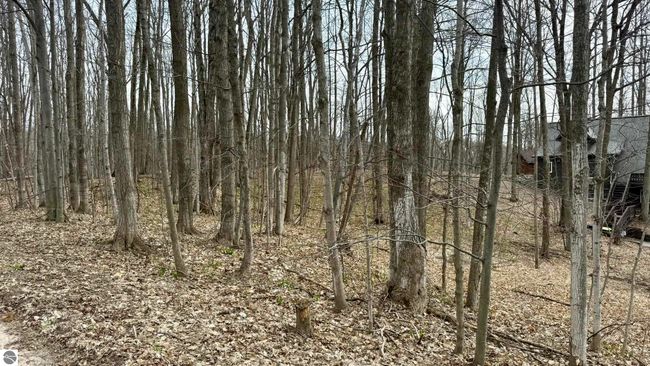 Lot 60 Val Disere, Home with 0 bedrooms, 0 bathrooms and null parking in Bellaire MI | Image 4