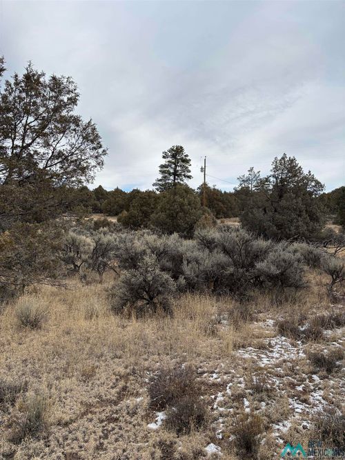 2 Parkview Hills, Los Ojos, NM, 87551 | Card Image