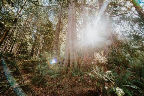 5735 Naylor Rd, Sechelt, BC, V7Z0C7 | Card Image