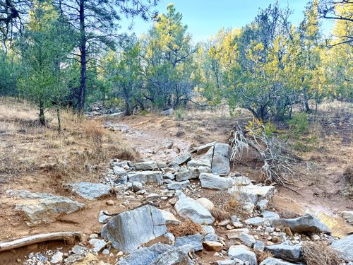 9970 Nm 337, Tijeras, NM, 87059-8640 | Card Image