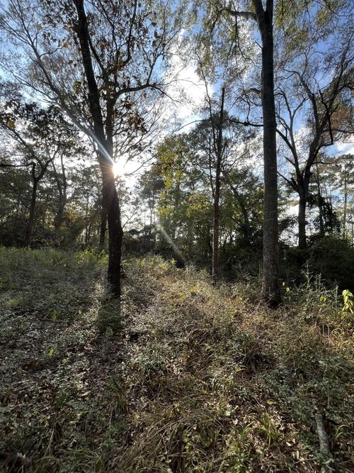 26870 Lazy Ln, Magnolia, TX, 77355-6767 | Card Image