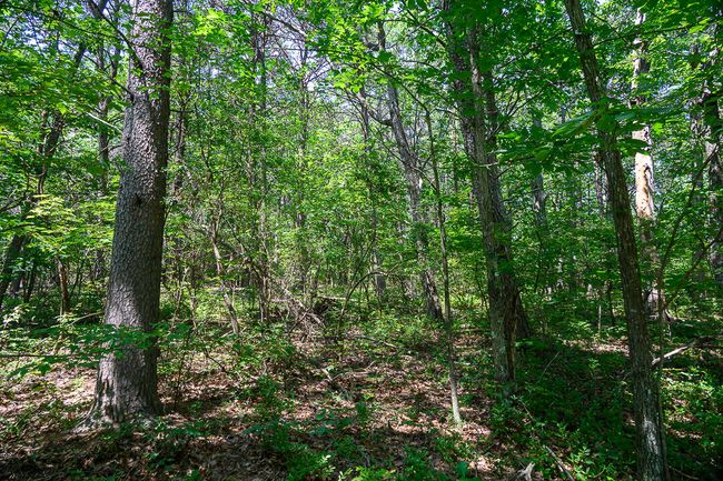 3 Arrow Branch Rd, Home with 0 bedrooms, 0 bathrooms and null parking in Rising Fawn GA | Image 7