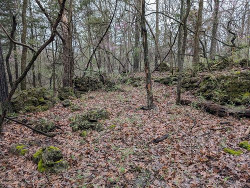 000 Grier Branch Lot 1 Road, Strafford, MO, 65757 | Card Image