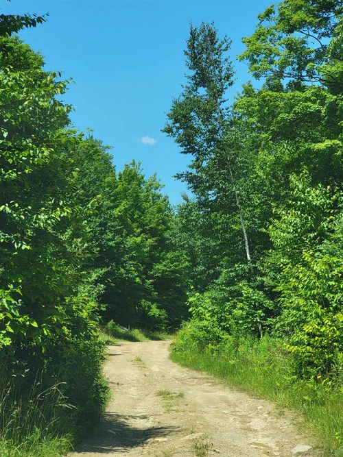 0 Old Gale Hill Rd, Shaftsbury, VT, 05262 | Card Image