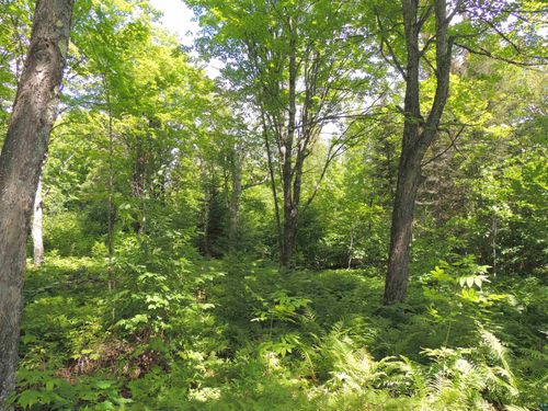 112X County Road 60, Grand Marais, MN, 55604-2290 | Card Image
