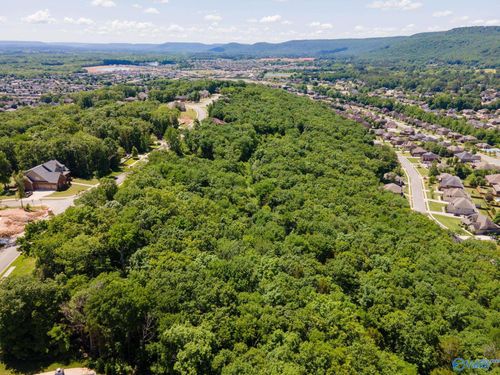 lot-8-4631 Saddle Ridge Dr Se, Owens Cross Roads, AL, 35763-9476 | Card Image