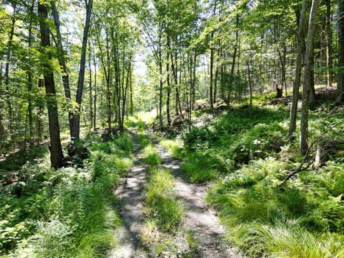00 Dover Rd, South Newfane, VT, 05351 | Card Image