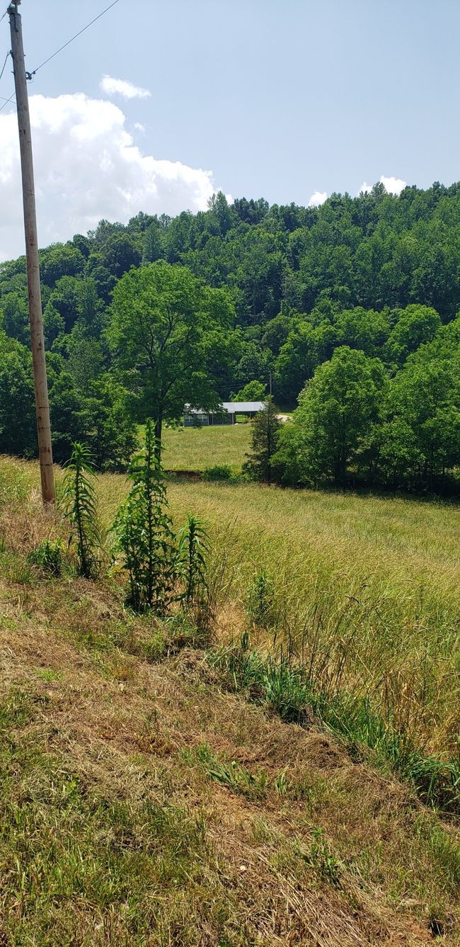 49 Je Sartain Rd, Home with 0 bedrooms, 0 bathrooms and null parking in Manchester TN | Image 45