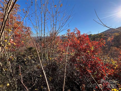 Lot 66 Musket Rd, Almond, NC, 28702 | Card Image