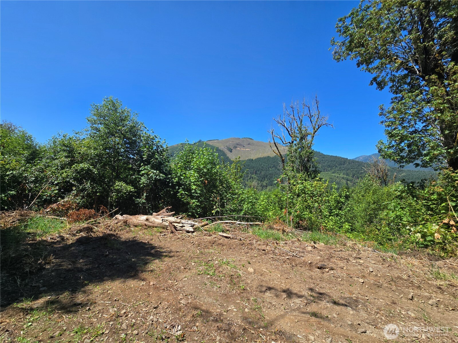 Land in Morton 3