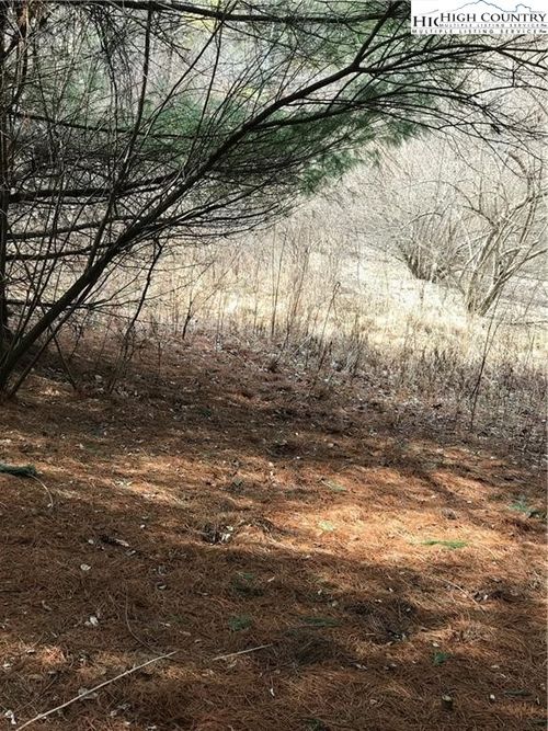 TBD Deer Path Rd, Crumpler, NC, 28617 | Card Image