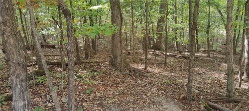 16-11641-000 Bell Lane, Bella Vista, AR, 72714 | Card Image