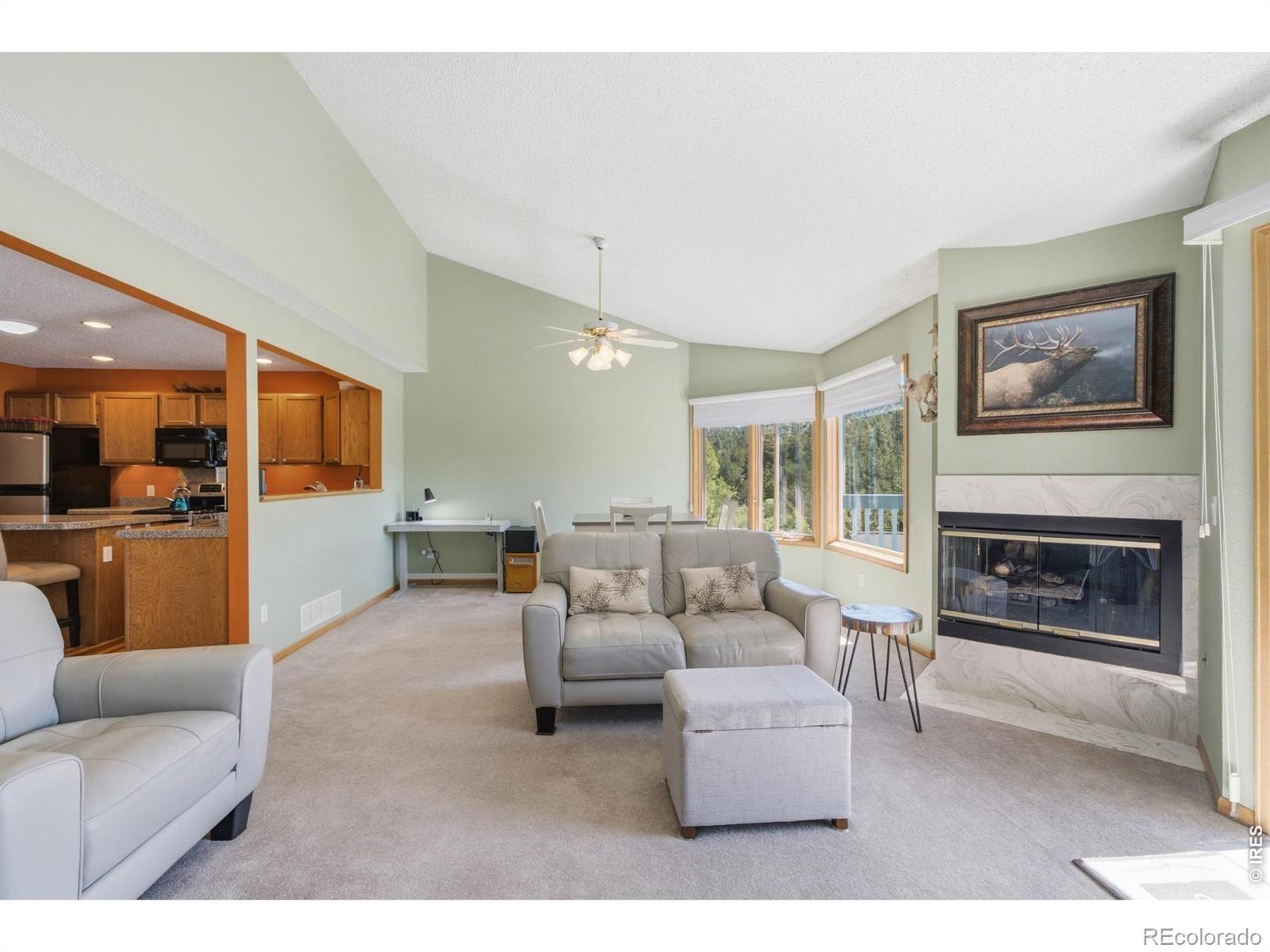 Residential in Estes Park 5