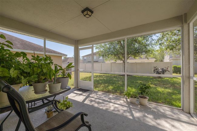 20215 Natures Spirit Dr, House other with 4 bedrooms, 3 bathrooms and null parking in TAMPA FL | Image 31