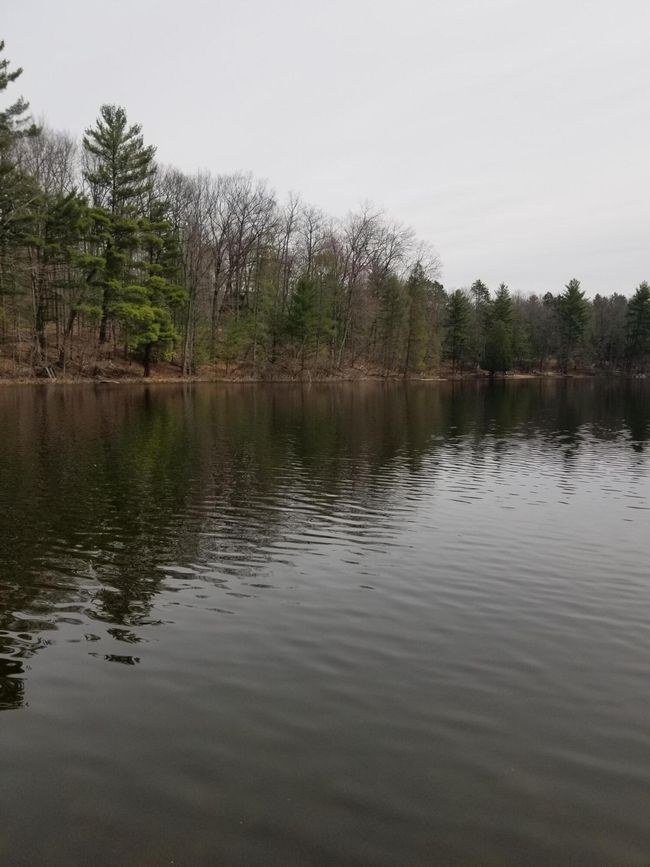 15 W 12 Mile Rd, Home with 0 bedrooms, 0 bathrooms and null parking in Irons MI | Image 19