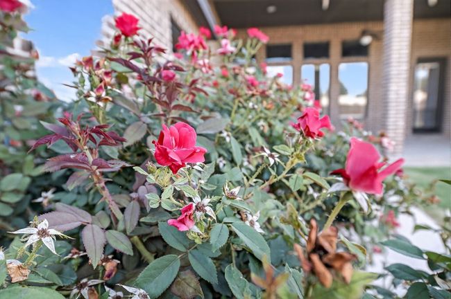 2507 Regency Oaks, House other with 4 bedrooms, 3 bathrooms and 3 parking in Midland TX | Image 64