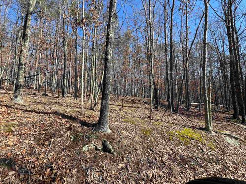 TBD Recluse Rd, DELRAY, WV, 26714 | Card Image