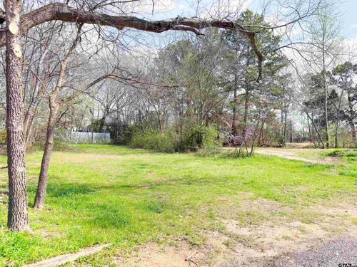 2509 N Tenneha Ave, Tyler, TX, 75702-1976 | Card Image