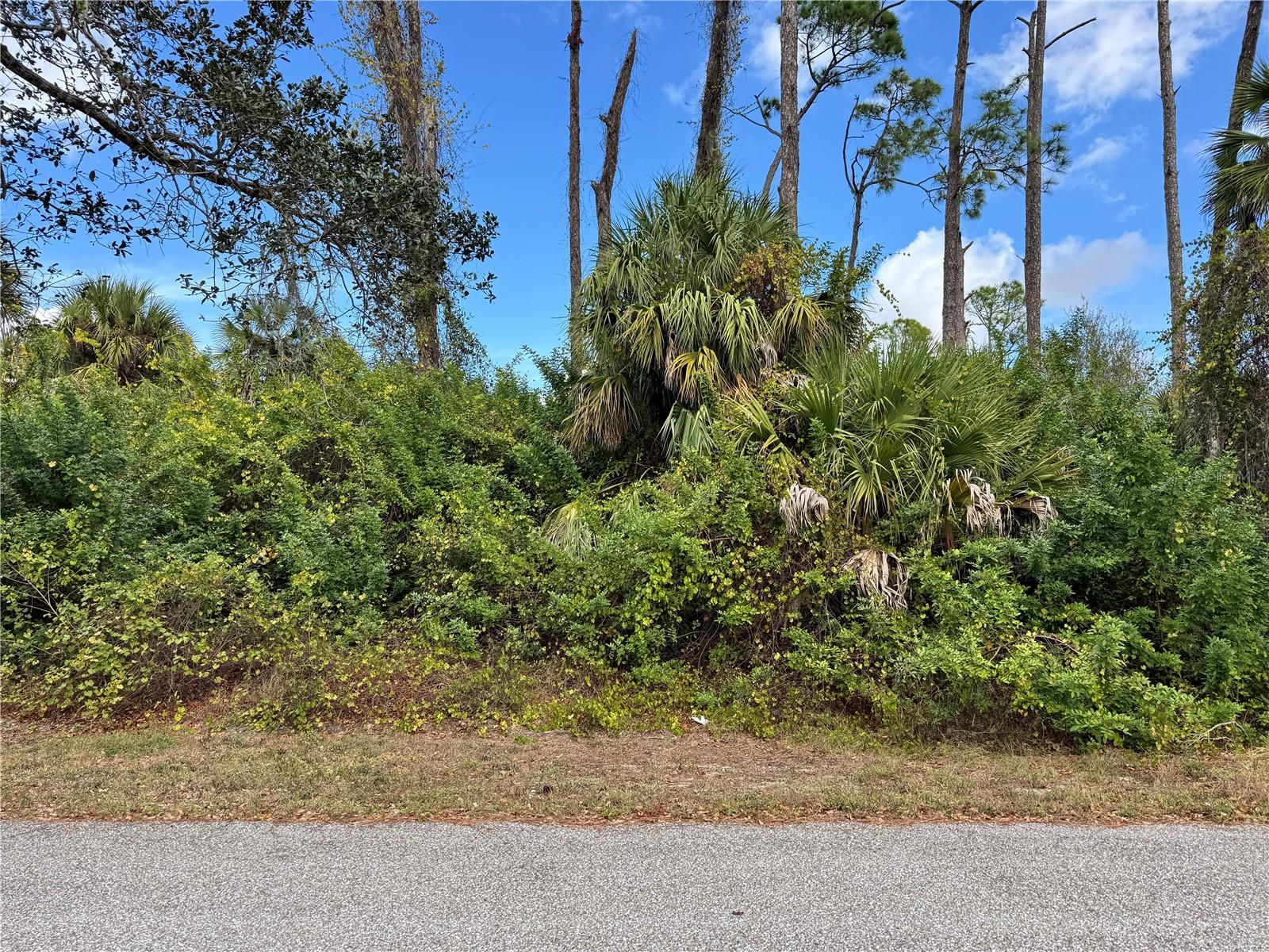 Land in PORT CHARLOTTE 2