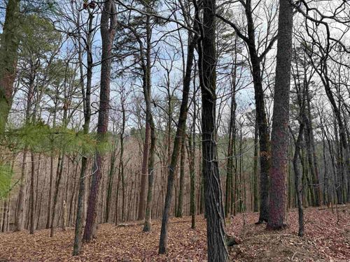 4 Cavalier Ct, Little Rock, AR, 72223 | Card Image