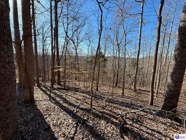 627 New State Rd, Home with 0 bedrooms, 0 bathrooms and null parking in Webster KY | Image 18