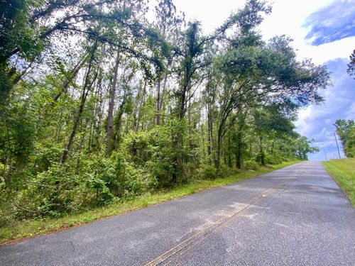Vacant Ne Old Blue Springs Road, Lee, FL, 32059 | Card Image
