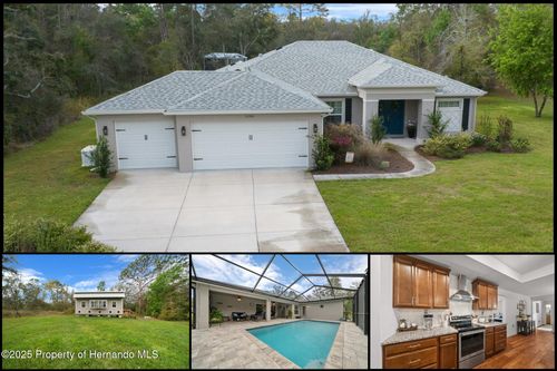 16386 Heron Hills Dr, Spring Hill, FL, 34610-1317 | Card Image