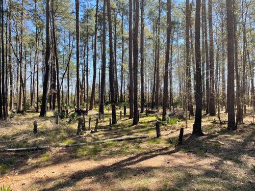 0 Backfield Rd, Walterboro, SC, 29488 | Card Image