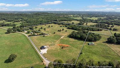 50-ACRES - 0 Petros Browning Road, Home with 0 bedrooms, 0 bathrooms and null parking in Rockfield KY | Image 2