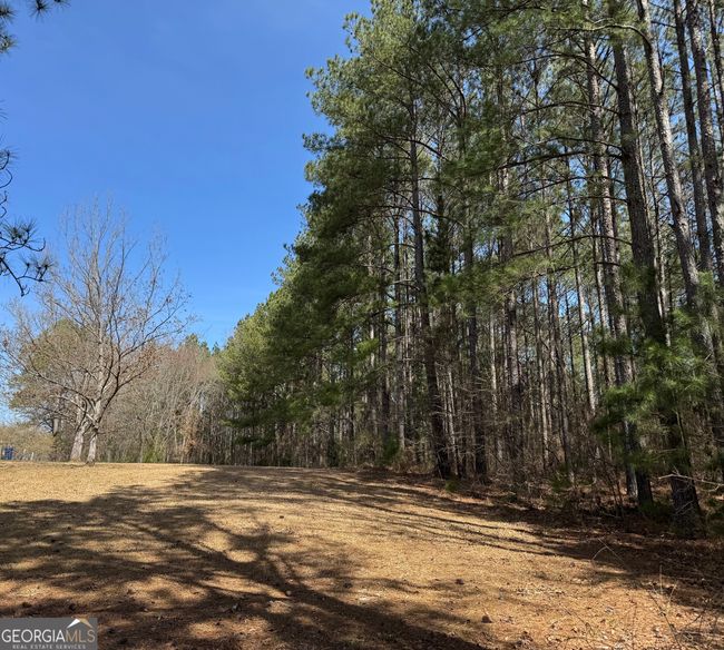 941 Wesley Chapel Rd, House other with 3 bedrooms, 2 bathrooms and null parking in Lexington GA | Image 32