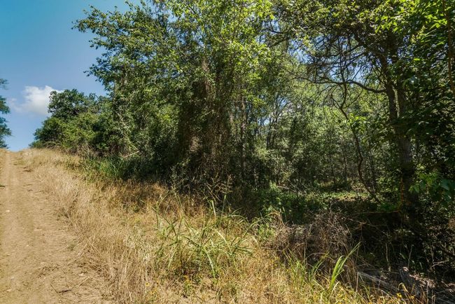 649 Kaukonahua Ln, Home with 0 bedrooms, 0 bathrooms and null parking in Bastrop TX | Image 7