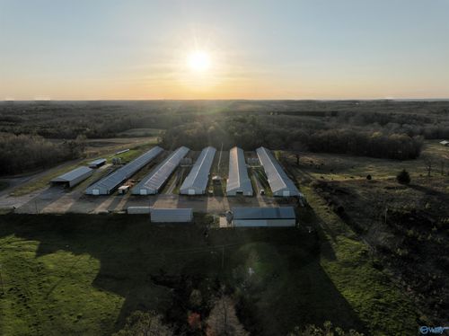 2210 Highway 38, Russellville, AL, 35654-9423 | Card Image