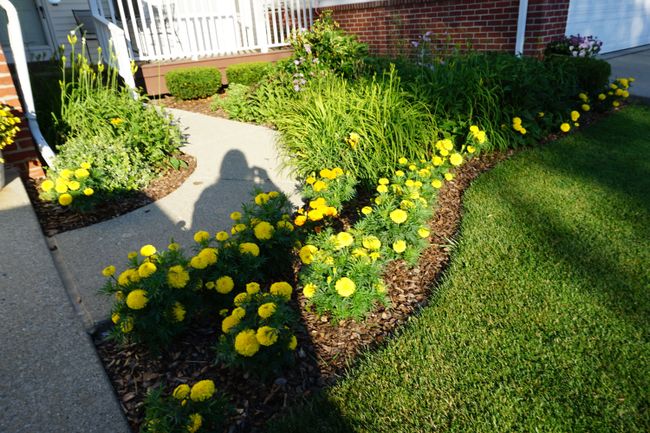 1016 Curzon St, Condo with 2 bedrooms, 3 bathrooms and null parking in Howell MI | Image 26