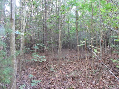 0 White Oak Rd, Wilsons, VA, 23894 | Card Image