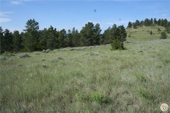Lot 74 High Pines Blf, Home with 0 bedrooms, 0 bathrooms and null parking in Columbus MT | Image 5