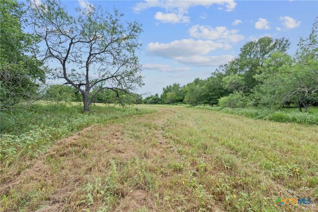 3597 Baker Rd, Home with 0 bedrooms, 0 bathrooms and null parking in Kingsbury TX | Image 26