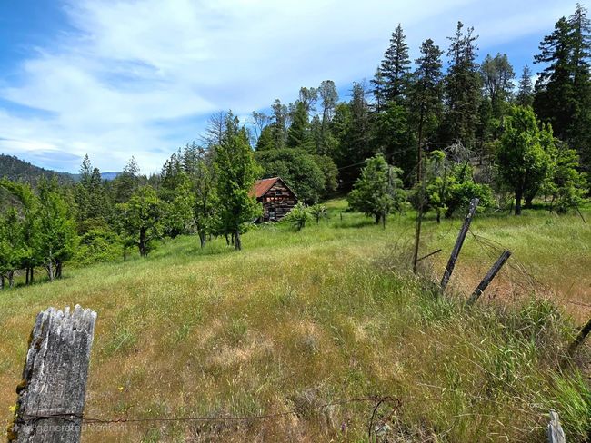 Old Homestead site | Image 13