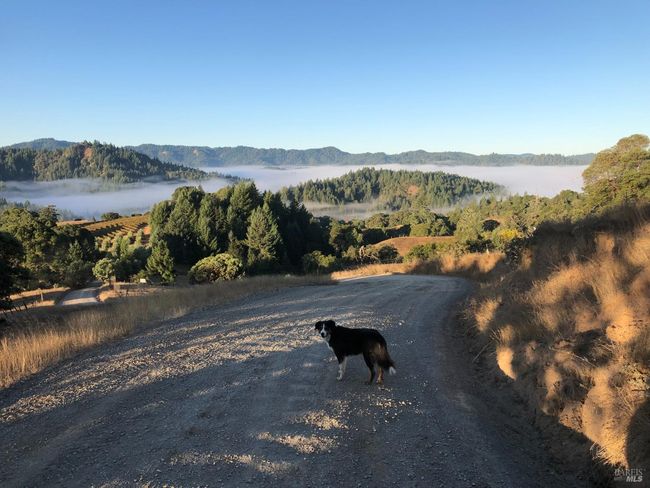 25400 Hulbert Rd, House other with 2 bedrooms, 2 bathrooms and 5 parking in Yorkville CA | Image 16