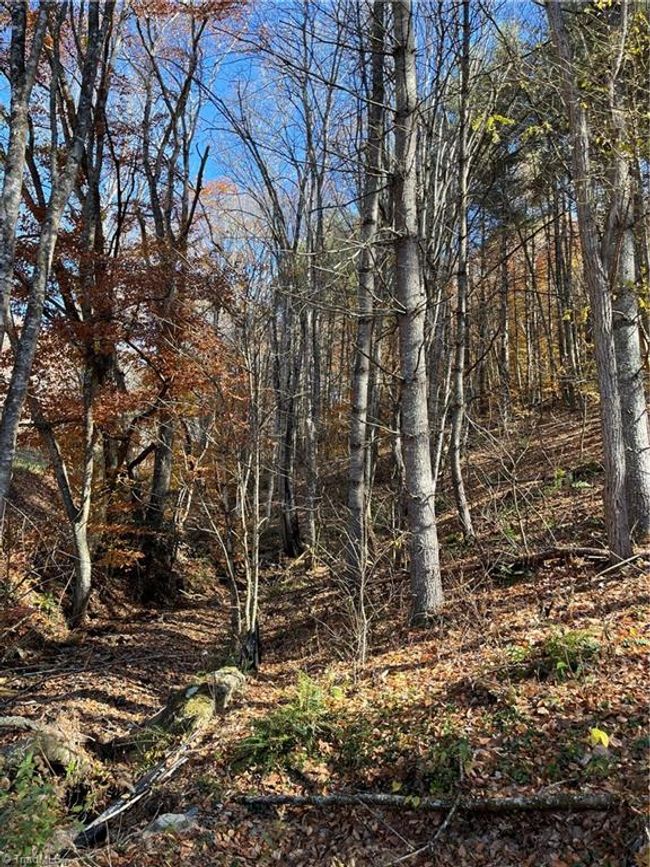 1972 Big Horse Creek Rd, House other with 3 bedrooms, 2 bathrooms and null parking in Lansing NC | Image 8