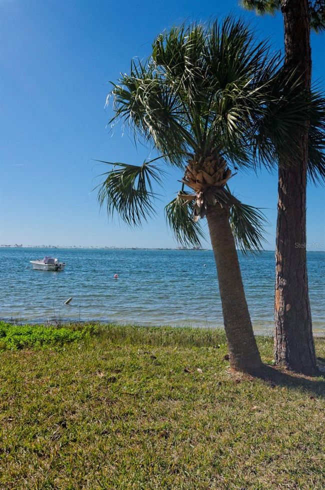 APT-1206 - 2700 Bayshore Blvd, Condo with 2 bedrooms, 1 bathrooms and null parking in DUNEDIN FL | Image 56