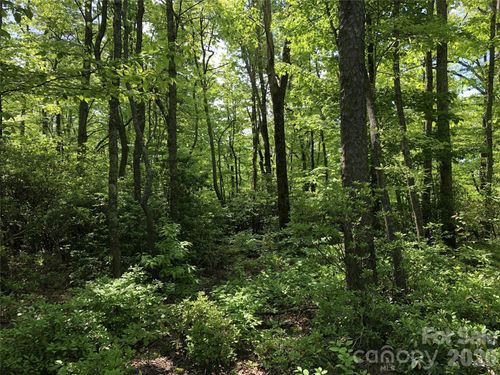 15-0 Millard Crossing, Hendersonville, NC, 28792 | Card Image