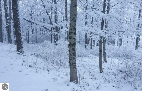 4169 Maple Hill Rd, Grawn, MI, 49637-9732 | Card Image