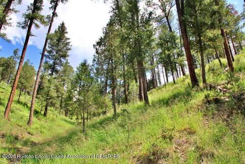 102 Saxony, Ruidoso, NM, 88345 | Card Image