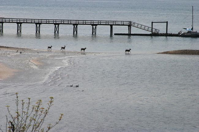 Dock featuring a water view | Image 38
