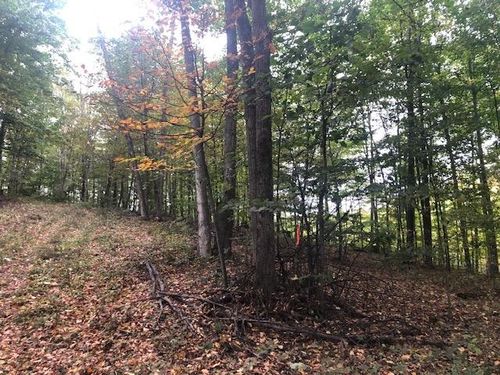 Parcel B Mariah Lane, Leelanau Township, MI, 49670 | Card Image